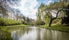 photo of a lake and green landscape in the park Barbieux in Roubaix, France.