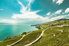 Dagtrip naar Vevey, Montreux, Chillon vanuit Genève