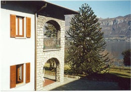 Villa Niccolò Apartments