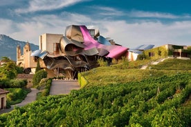 Visita Marques de Riscal e picnic nel vigneto da Bilbao