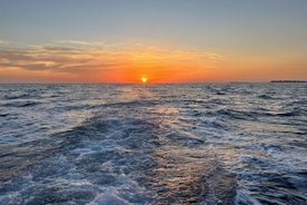 Dolphin Watching Sunset Cruise with Dinner 