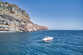 Boat Tour 3h excursion in Puerto de Mogan Gran Canaria