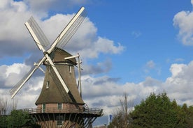 Amsterdam: Windmill Guided Tour