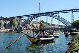 Giornata intera del tour della città di Porto: crociera sul fiume, cantine e pranzo