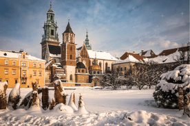 Krakow: Wawel Castle and Cathedral with Guide