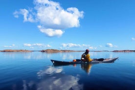 Turku Archipelago: Sea Kayaking Day Tour