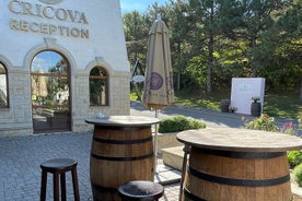 Cantine Cricova - Visita e degustazione