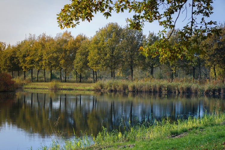 Natural Park Lelystad, The Netherlands