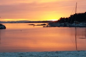 Excursão de bicicleta pelos destaques do inverno em Oslo