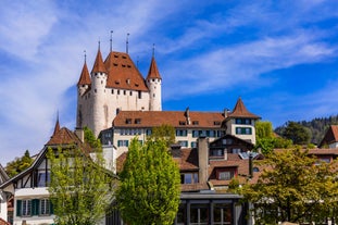 Thun Castle