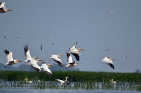 Delta del Danubio e Lago Nero - Tour privato di 2 giorni da Bucarest