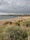 National Trust - South Milton Sands, South Milton, South Hams, Devon, South West England, England, United Kingdom