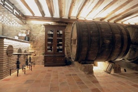 Strada del vino della Rioja con il proprietario dell'azienda vinicola