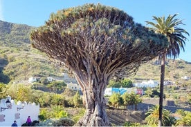 Entrada al Parque del Drago en Tenerife