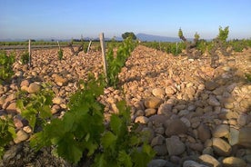 Chateauneuf-du-Pape Prestige Tour depuis Avignon