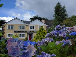 Slieve Bloom Manor Eco B&B