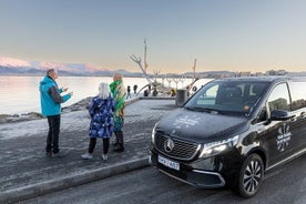 Tour privado de 4 horas por la ciudad de Reikiavik