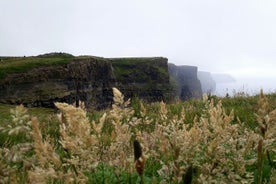 Scogliere di moher e Galway på italiensk