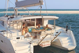 Halve dag privé catamaran-boottocht - Ria Formosa