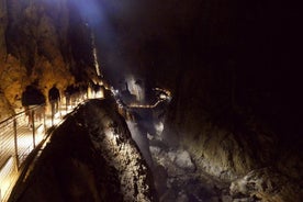 Excursion d'une journée dans la grotte de Skocjan au départ de Ljubljana