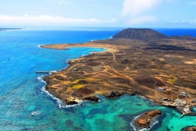 Dolphin Watching Cruise to Lobos Island