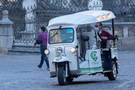 Córdoba: Leiðsöguferð um borgina á Tuk-Tuk