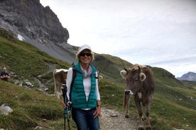 Dagsgönguleiðsögn um Grindelwald