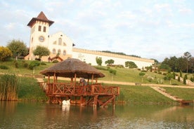 1 TAG: Moldauische Weintour zum Weingut Chateau Purcari von Chisinau