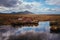 Forsinard Flows, Highland, Scotland, United Kingdom