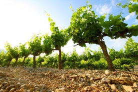 Private Visit of Château l'Hospitalet with Wine Tasting