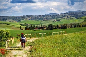 Private Ebike Tour in Chianti