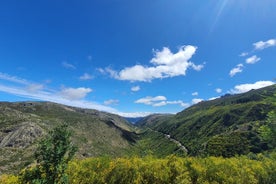 SERRA DA ESTRELA - Excursão com degustação de queijo da serra