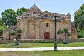 Tour privato di un'intera giornata a Lanarca con visita a un'azienda vinicola