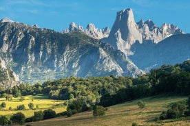 From Cangas de Onís: Bulnes, funicular and cheese Cabrales