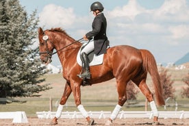 Visite privée à cheval