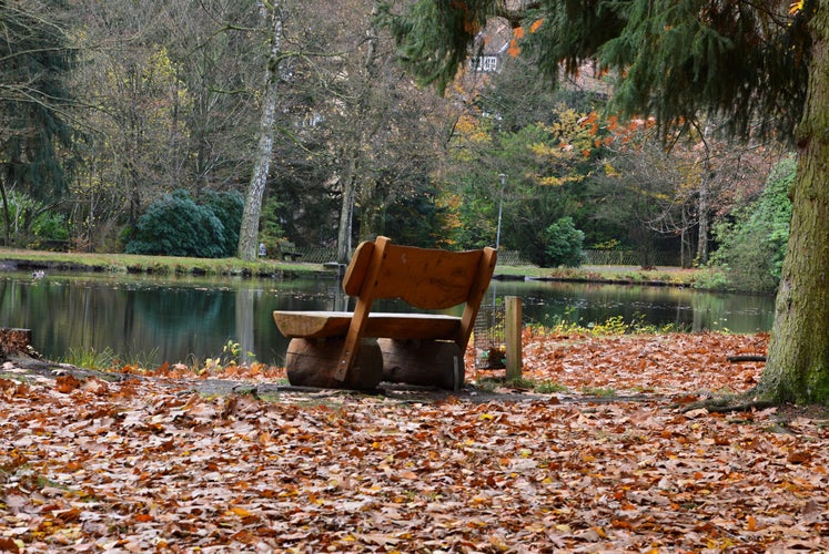 Autumn Landscape in the Park Halifax in Soltau, Lower Saxony