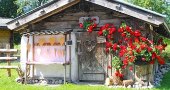 Tauern Cycle Path with Charm