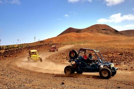 Corralejo: Buggy Safari Tour