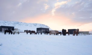 Akurgerði Guesthouse 4 - Country Life Style