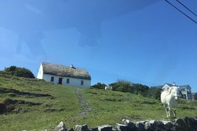 Croisière d'une journée complète aux îles d'Aran et aux falaises de Moher au départ de Galway