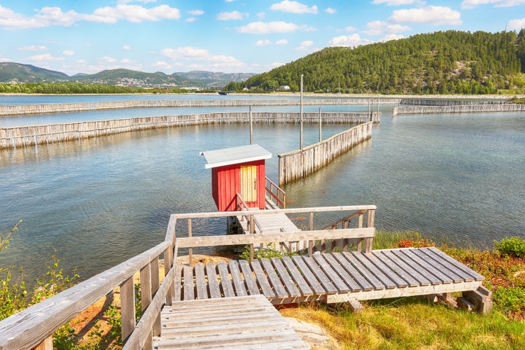 photo of view of Namsen fjord in the Norwegian town namsos. The view from the Norwegian Sawmill Museum.