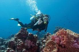 Expérience de plongée sous-marine de Side