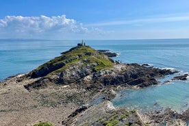 From Cardiff: Gower Peninsula, Finest Cliffs of South Wales