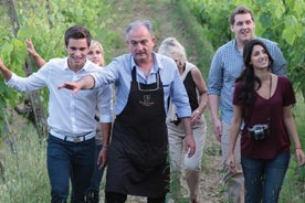 Passeggiata per i vigneti e pranzo in Toscana