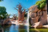 Valencia Bioparc travel guide