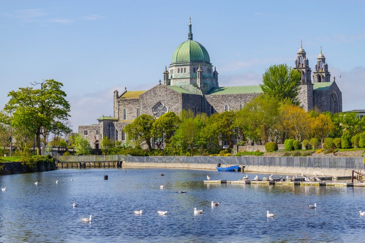 photo  of view of Seagulls swimming in Corrib river and Galway Cathedral in background, Galway, Ireland.