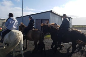 Family Horse Riding Tour in Thorlakshofn