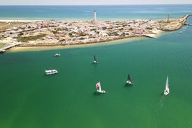 Islands Tour: Halvdagskryssning i Ria Formosa nationalpark