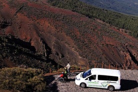 Kynntu þér Teide þjóðgarðinn og norðurhluta Tenerife í einkaferð