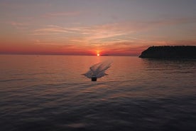 Croisière au coucher du soleil